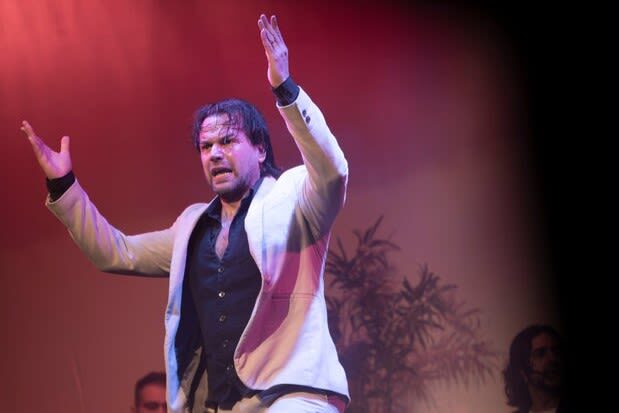 Flamenco Show Ticket at City Hall Theatre in Barcelona - Getting there, timing and entry