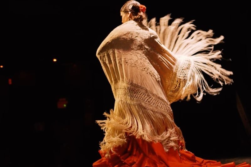 Flamenco Show Ticket at City Hall Theatre in Barcelona - Who will enjoy this show