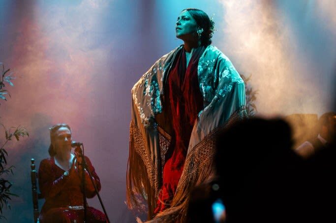 Flamenco Show Ticket at City Hall Theatre in Barcelona - Should you book it?