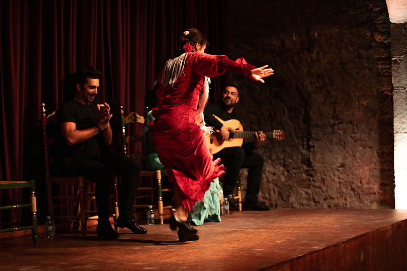 Flamenco Show Ticket at Palau Dalmases in Barcelona - Choosing between Zone A, Zone B and VIP