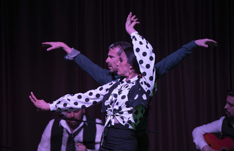 Flamenco Show Ticket at Palau Dalmases in Barcelona - Is the ticket worth the price?