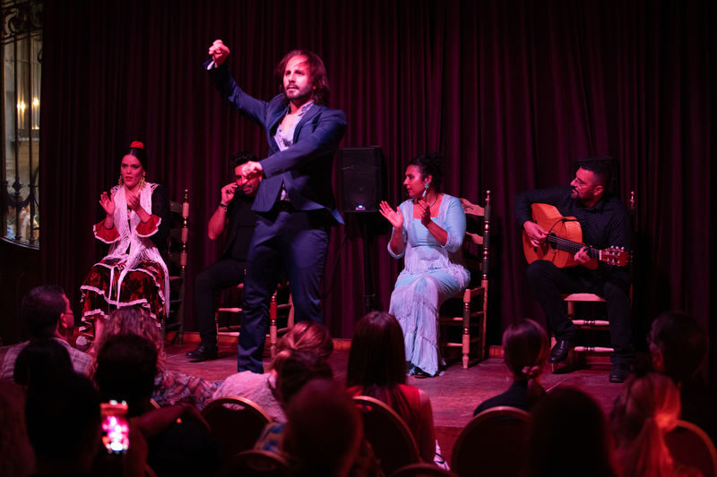 Flamenco Show Ticket at Palau Dalmases in Barcelona - Should you book Palau Dalmases?