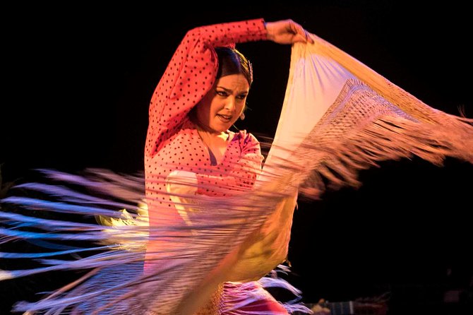 Flamenco Show Ticket at Theatre Barcelona City Hall - Additional Information