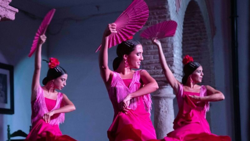 Flamenco Show Ticket in Cordoba - Flamenco in a small, focused setting