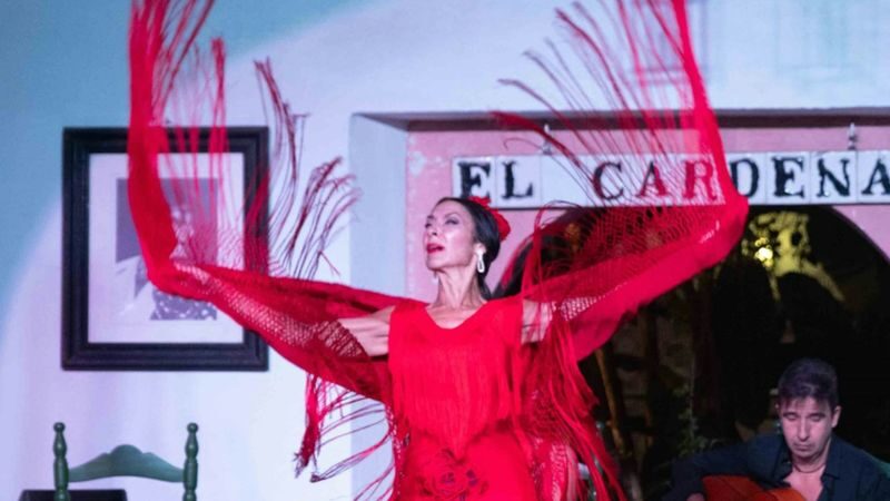 Flamenco Show Ticket in Cordoba - What happens over the 75 minutes