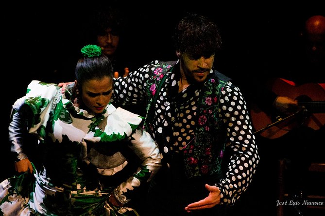 Flamenco Show Tickets to the Triana Flamenco Theater - Overview of the Flamenco Show
