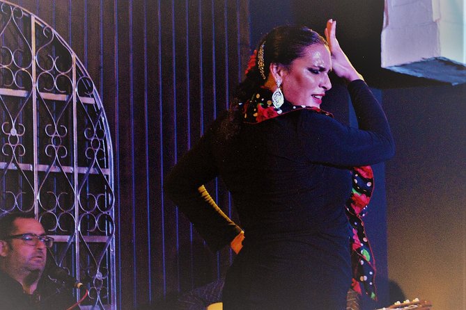 Flamenco Show With Drink - Overview of Flamenco Show Experience