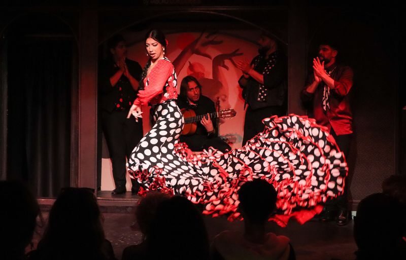 Flamenco Show with Optional Drinks at El Duende in Barcelona - What happens in 55 minutes