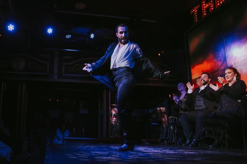 Flamenco Theatre Malaga: Live the Flamenco Experience - Is the Ticket Good Value?
