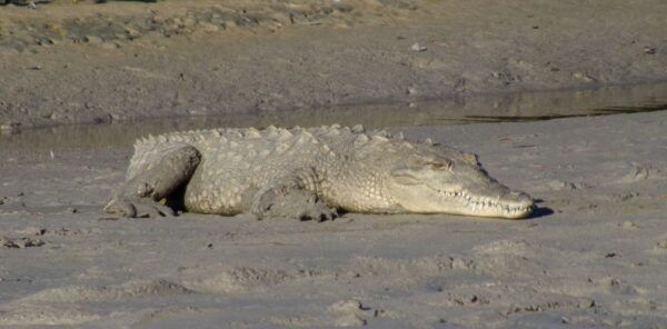 Flamingo: 3-Day Everglades Backcountry Camping Trip W/ Guide - Directions