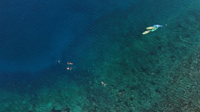 Flamingo Beach: Guided SUP and Snorkeling Experience - Activity Itinerary