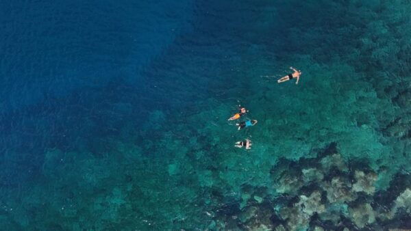 Flamingo Beach: Guided SUP and Snorkeling Experience - Pickup Location