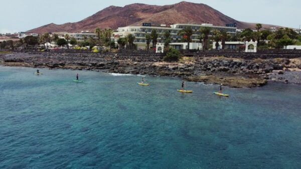 Flamingo Beach: Guided SUP and Snorkeling Experience - Testimonial