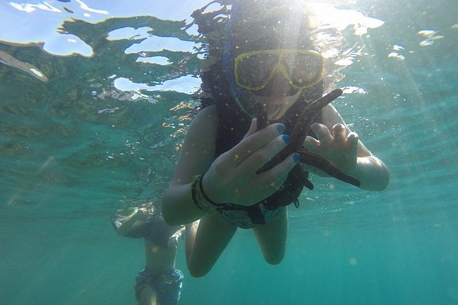 Flamingo Beach Snorkeling Boat Tour - Booking and Cancellation Policy