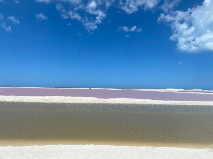 Flamingo Classic: Rio Lagartos and Las Coloradas - Boat Journey