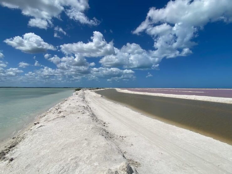 Flamingo Deluxe Rio Lagartos and Las Coloradas - Experience Highlights