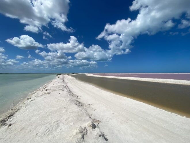 Flamingo Deluxe Rio Lagartos and Las Coloradas - Detailed Tour Activities