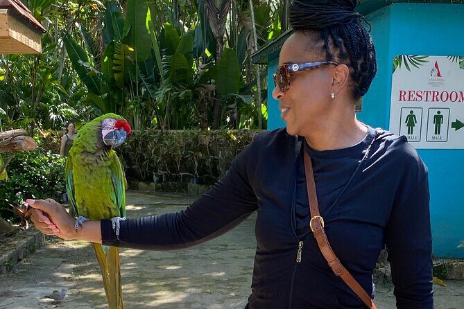 Flamingo March & Pirates Adventure Tour Nassau - Who Should Consider This Tour?