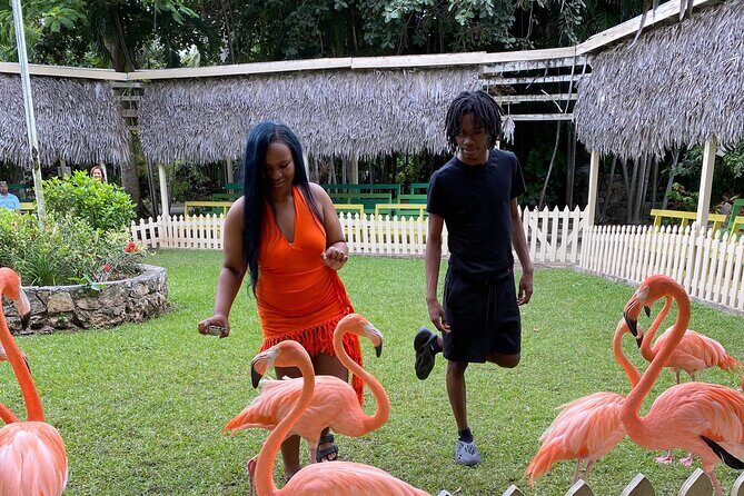 Flamingo March & Pirates Adventure Tour Nassau - FAQ