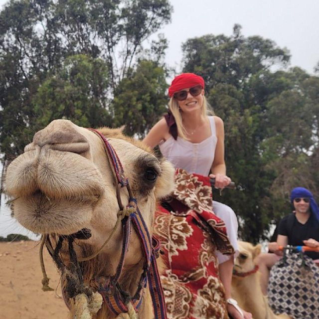Flamingo River Sunset Camel Ride With BBQ Dinner & Transfer - Activity Overview