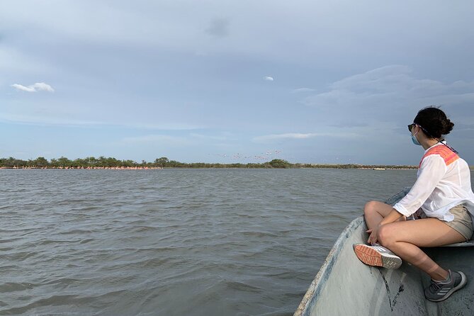 Flamingo Sanctuary: Rave Reviews Await - Tour Highlights and Inclusions