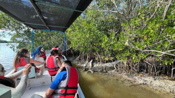 Flamingo Tour in Rio Lagartos, Yucatan 3 Hours - Pricing and Availability