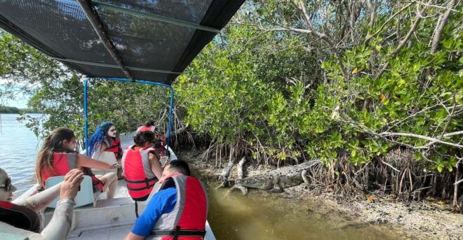 Flamingo Tour Rio Lagartos, Yucatan 2 Hours - Inclusions