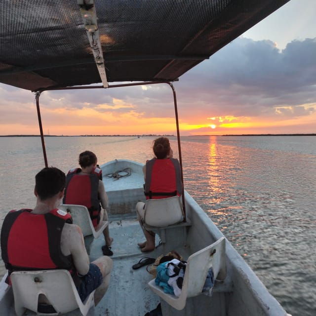Flamingo Tour Rio Lagartos, Yucatan 2 Hours - Important Information