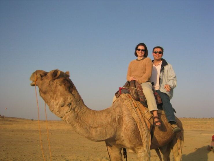 Flamingo's River Camel Ride With Tea - Activity Details