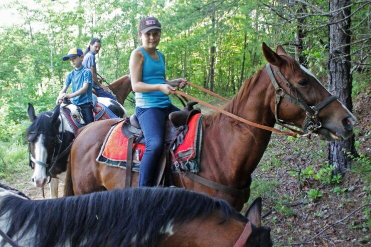 Flamingo's River Camel Ride With Tea - Experience Highlights