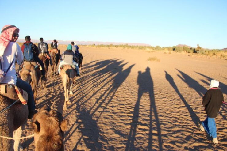 Flamingo's River Camel Ride With Tea & BBQ Option - Booking Details