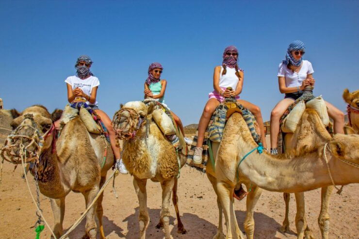 Flamingo's River Camel Ride With Tea & BBQ Option - Experience Highlights