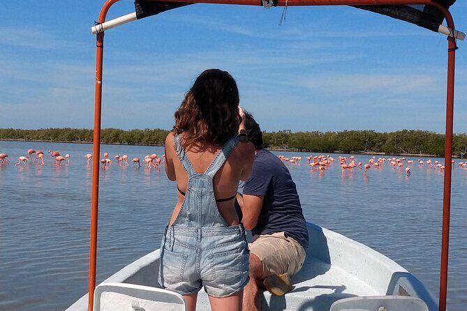 Flamingos Tour in Rio Lagartos Yucatan 2 hours - Introduction