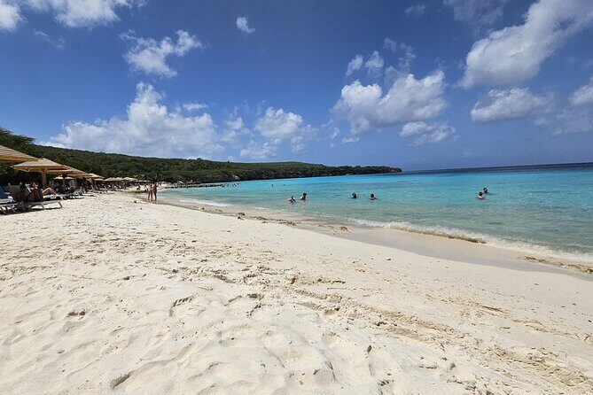 Flamingos Transparent Boat Trip and Chill at Beach (Private Trip) - FAQ