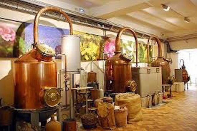 Flavor & Taste of Provence - Exploring the Vineyards and Wineries