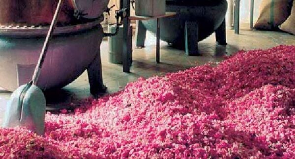 Flavor & Taste of Provence - Local Markets and Artisanal Crafts