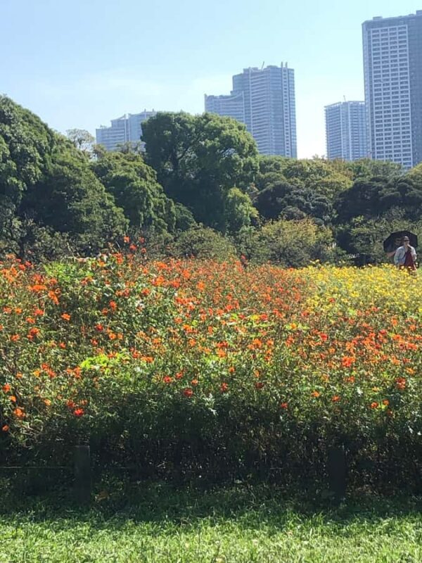 Flavors and Serenity: Tsukiji and Hamarikyu garden in Spanish - FAQ