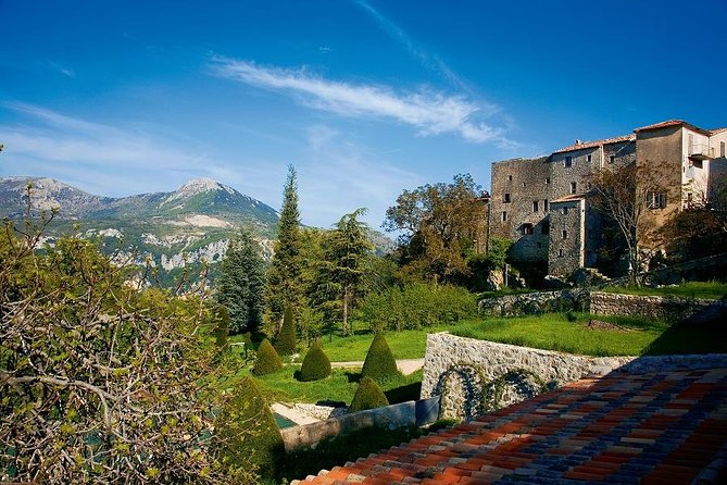 Flavors and Tastes of Provence - Private and Guided Tour - Tour Highlights in Provence