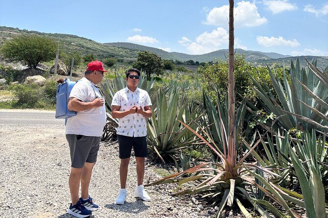 Flavors, colors and culture: Crafts, food and Mezcal EN Oaxaca - Frequently Asked Questions