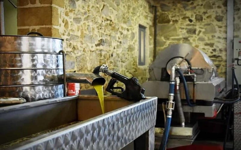 Flavors of Crete from Chania: Wine & Olive Oil Tasting Tour - Good To Know: