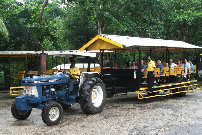 Flavors of Jamaica Food Tour From Falmouth - Culinary Delights