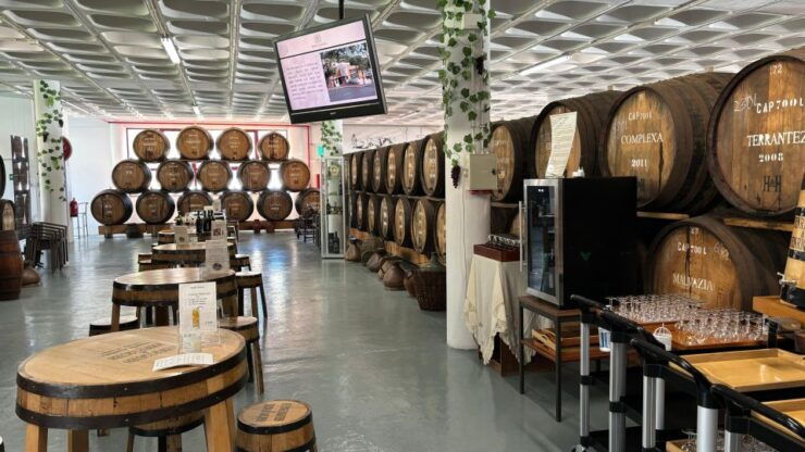 Flavors of Madeira: Wine & Dine - Tasting and Dinner - Wine Tasting and Snacks Pairing