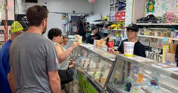 Flavors of Manhattan: Exploring Chinatown and Little Italy - Customer Feedback