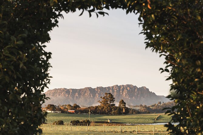 Flavors of Northern Tasmania: Tasting Tour With Private Chef - Overview and Experience