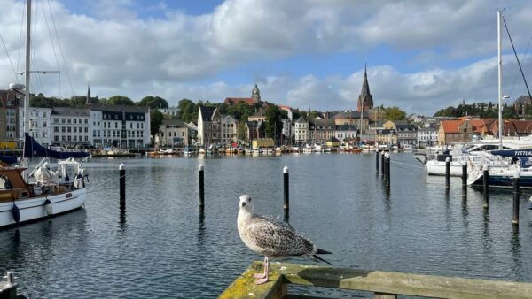 Flensburg: Running Tour With Insider Tip Guarantee - Meeting Point Information