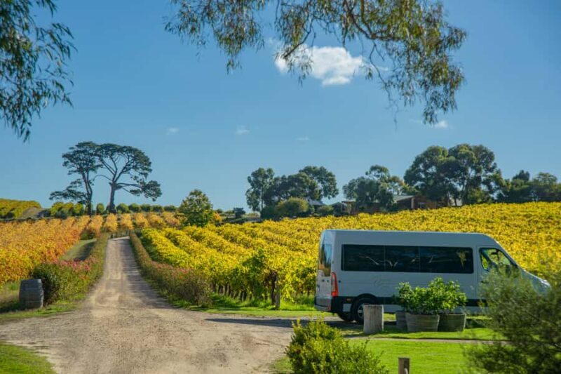Fleurieu Peninsular: McLaren Vale Winery Experience - An Authentic Day in McLaren Vale: What to Expect