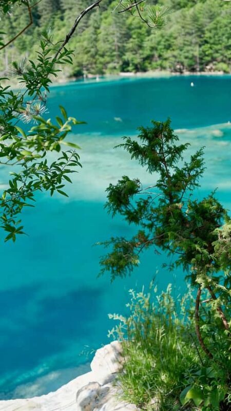 Flexible Jiuzhaigou Day Tour Options: Shared or Private - Good To Know