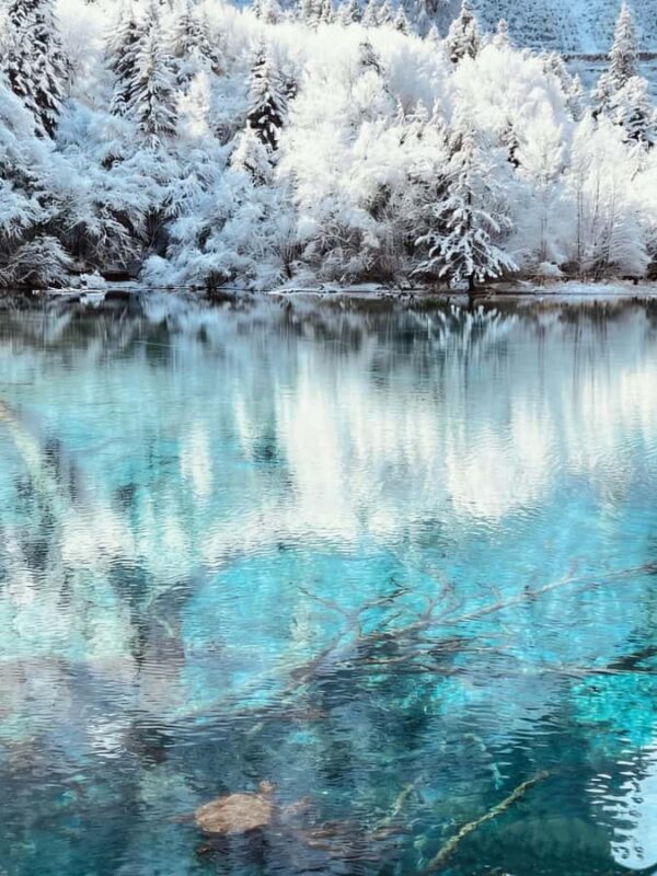 Flexible Jiuzhaigou Day Tour Options: Shared or Private - FAQs