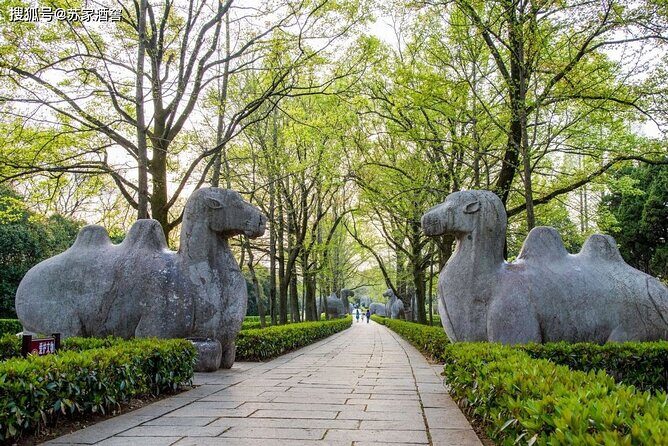 Flexible Private Nanjing City Highlights Day Tour - Final Thoughts