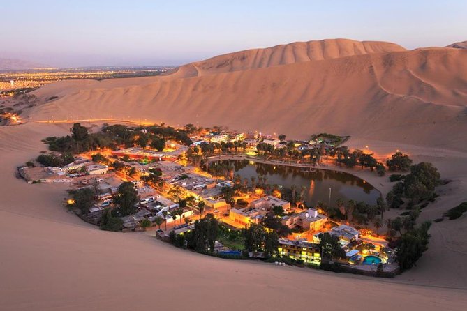 Flight Over the Nazca Lines From Ica With Oasis, Lunch and Wine  - Lima - The Sum Up
